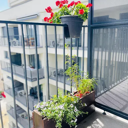 River Sunshine Boedapest