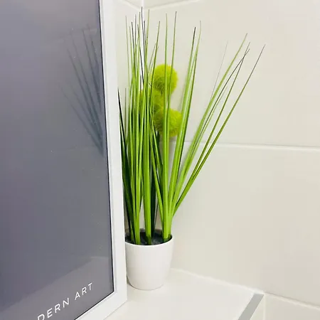 River Sunshine * بودابست